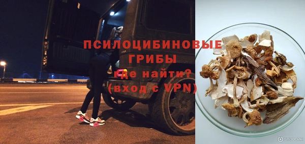 гидра Алексеевка